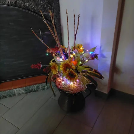 Gabrielmary' 3* Scafa