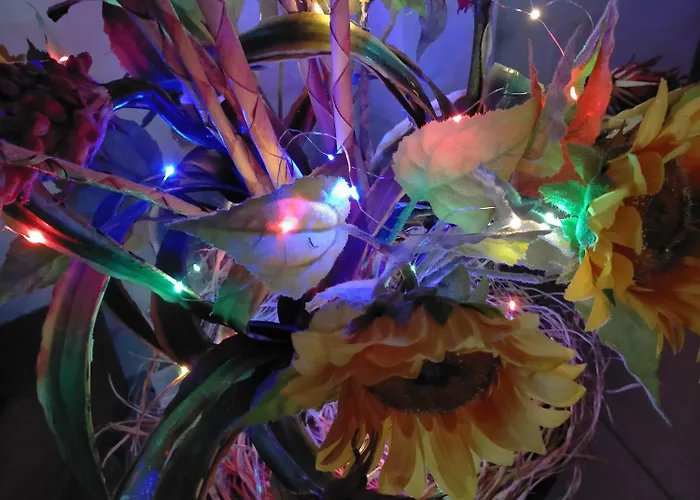 Gabrielmary' 3* Scafa